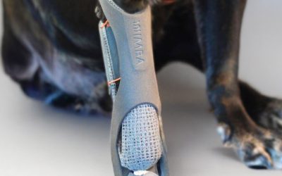 The Healing Power of Prosthetics