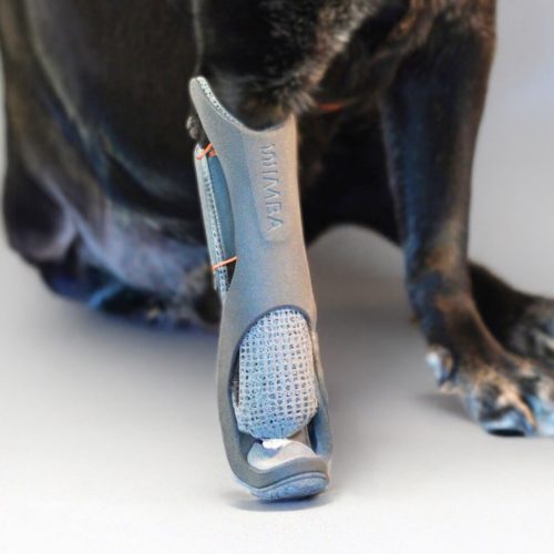 The Healing Power of Prosthetics